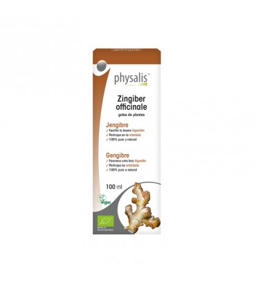 Zingiber Officinale 100 ml Physalis