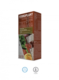 Ferroplant 250 ml Solución oral Dietmed