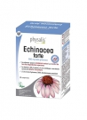 Echinacea Forte 30 comprimidos Physalis
