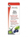 Ribes Nigrum 100 ml Physalis