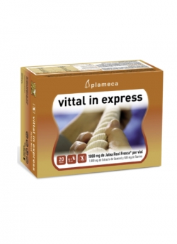 Vittal In Express 20 viales Plameca